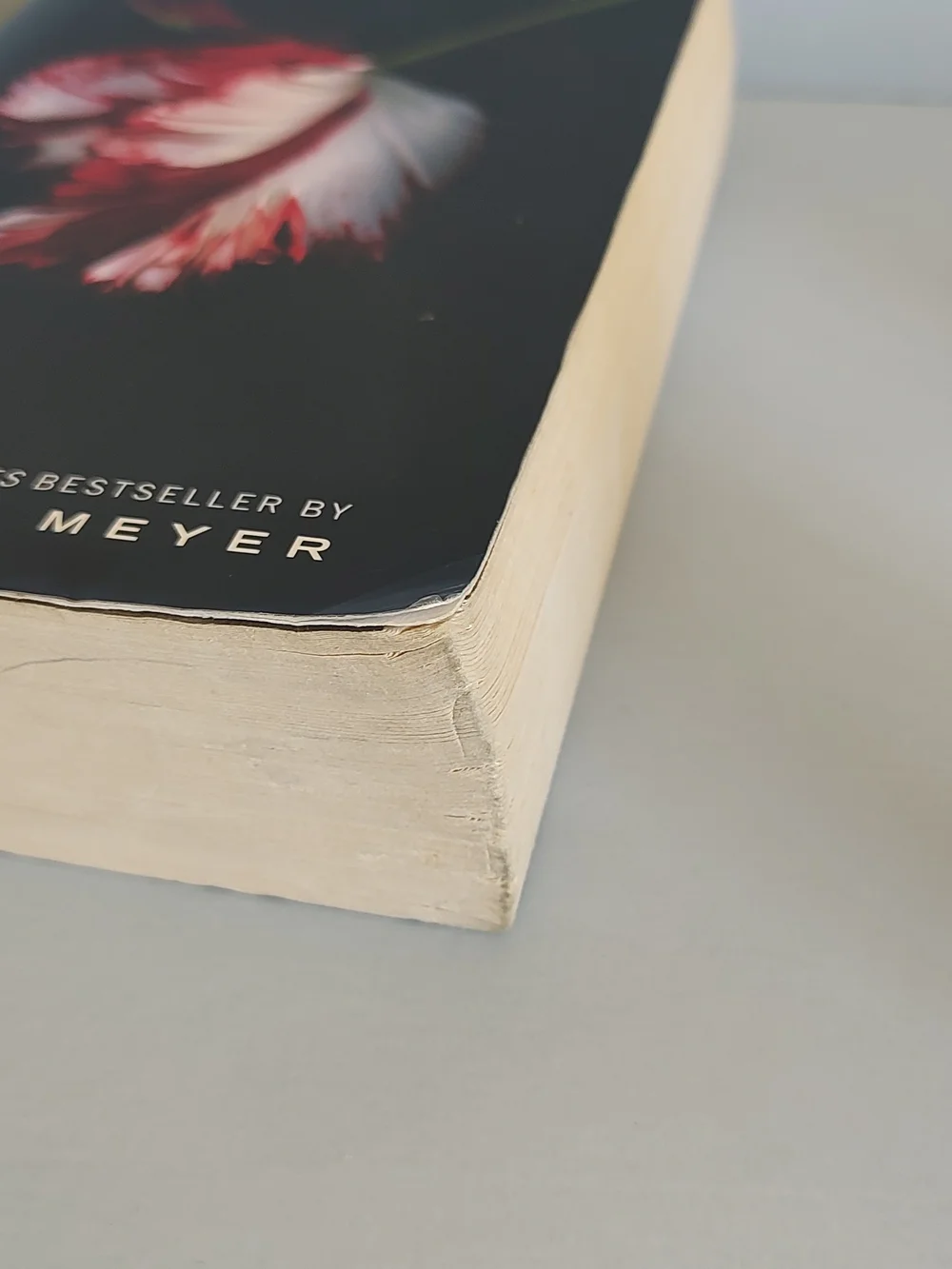 The Twilight Saga New Moon by Stephenie Meyer 2008 Trade Paperback) Good Cond.